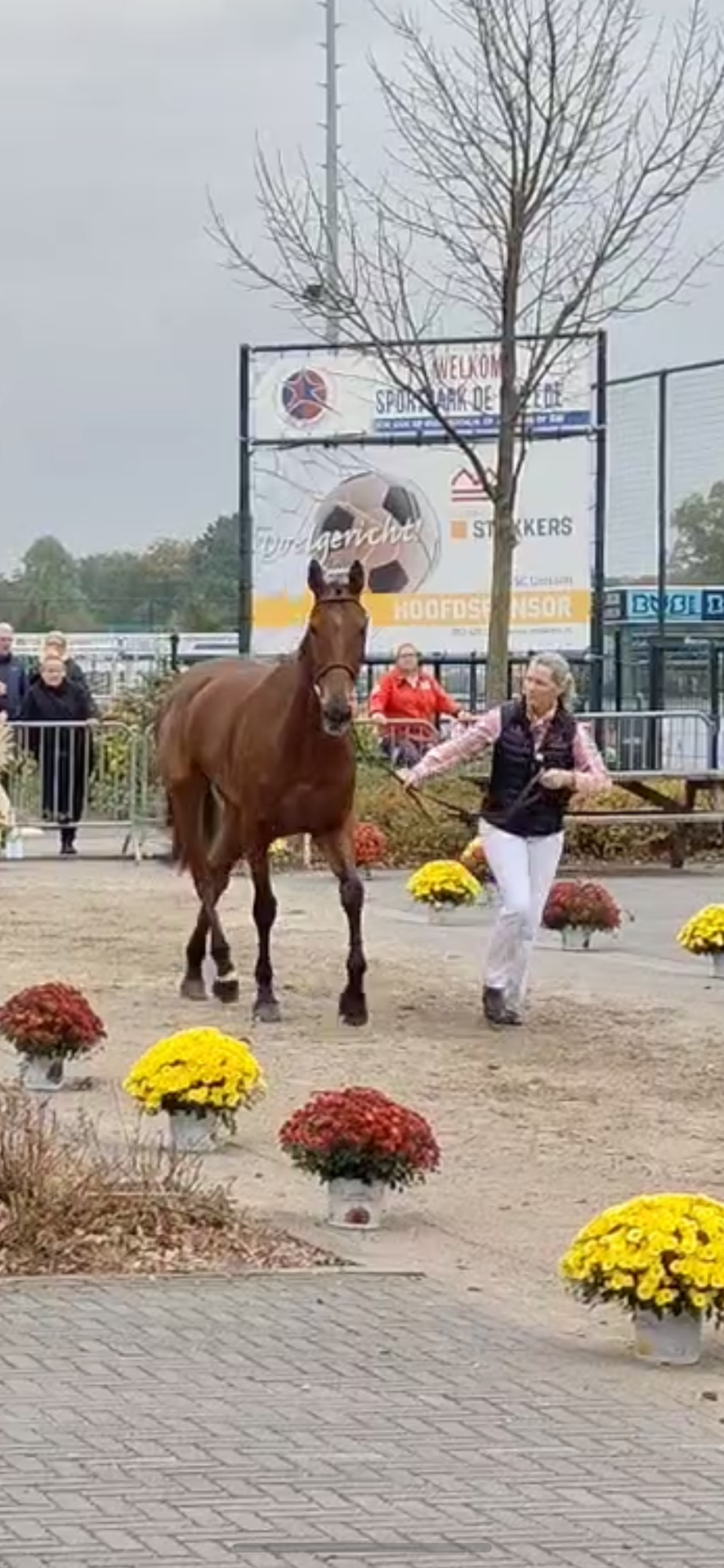 Karin and Oogappel de Muze